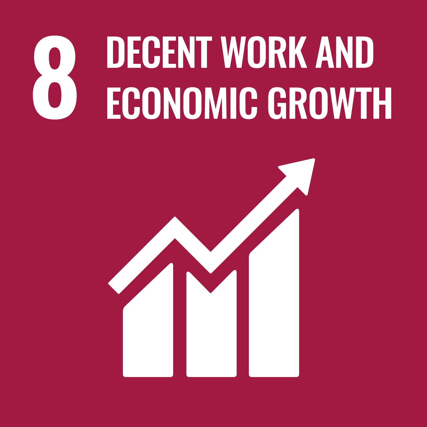 Sustainable Development Goal 8 – Decent Work and Economic Growth